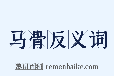 马骨反义词是什么意思的图片